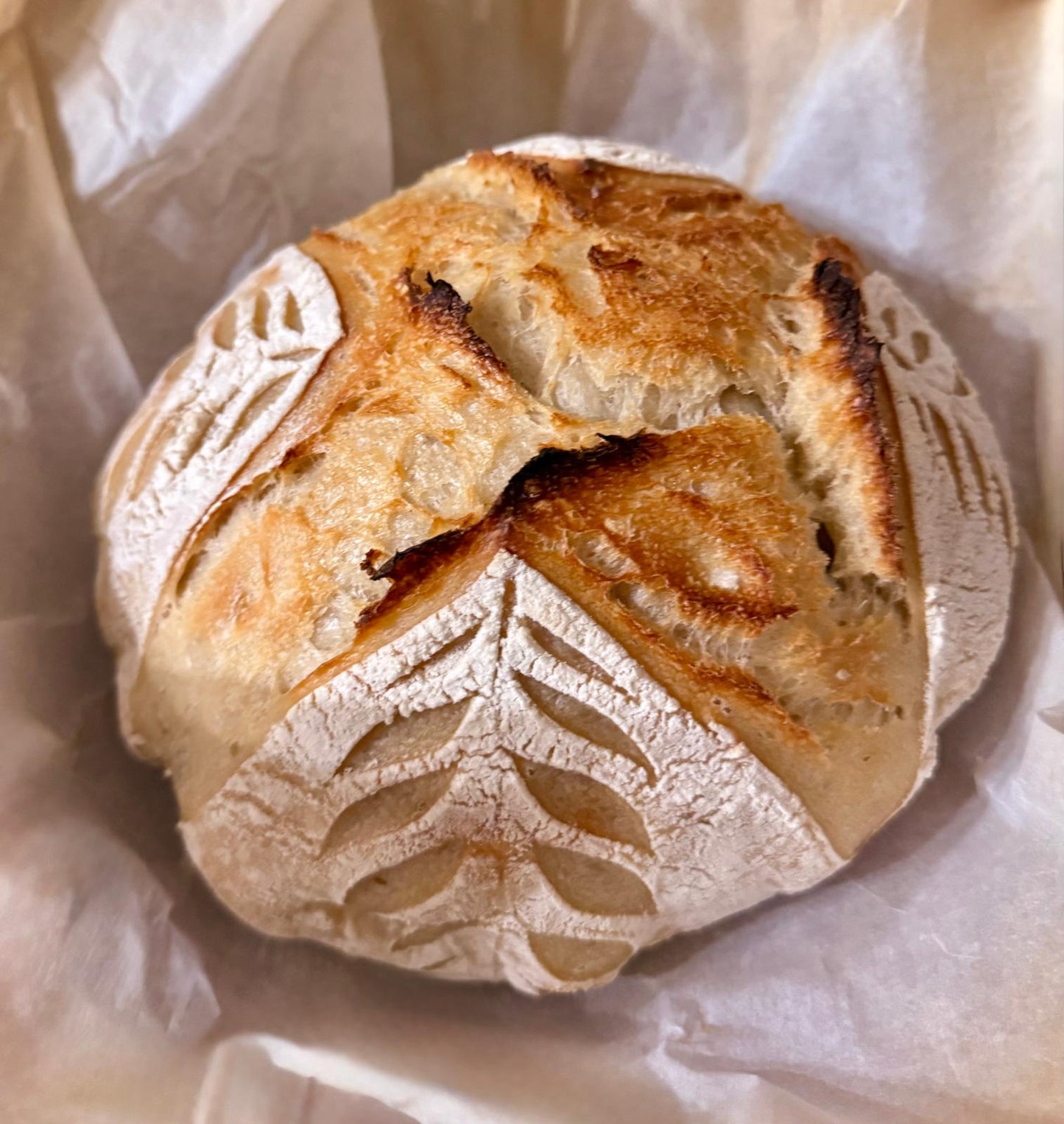 π₯ The Original Crust β Artisan Sourdough